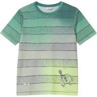 s.Oliver T-Shirt gris / vert / vert fluo