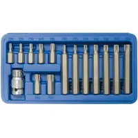 SW-Stahl Torx-Garnitur 15-teilig 1/2 Zoll, T 20 - T 55, 04420L