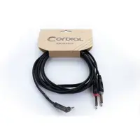 Cordial 14866 Audio Y-Adapter (1x Klinkenstecker 3.5 mm - 2x Klinkenstecker 6.3, Adaptateur audio, Noir