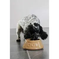 Mason Cash Cane Non Tip Lettered Dog Bowl 21cm