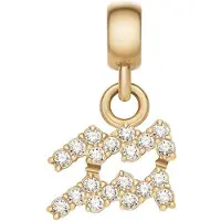 Daniel Wellington Pendentif plaqué or avec cristaux Aquarius Crystal Zodiac DW00400764