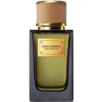 Dolce&Gabbana Velvet Tender Oud Eau de Parfum Eau de Parfum mixte 100 ml