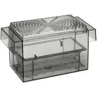 Europet Bernina Ebi outlet box 3 en 1 Réservoir pour Guppy
