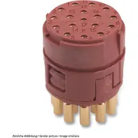 Lapp EPIC SIGNAL M23 KIT D6 17 POL Kompletter elektrischer Anschluss 12 7 A (75009706)
