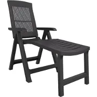 vidaXL Bain de soleil anthracite plastique