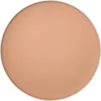 Shiseido Sun Care Tanning Compact Foundation SPF10 fond de teint compact wateproof recharge teinte Honey 12 g