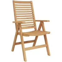 vidaXL - Ensemble de 8 chaises, couleur marron, en bois massif teck, pliantes