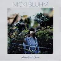 Ginza.se Nicki Bluhm - Avondale Drive [Cd]