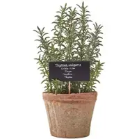 Homescapes Plante aromatique artificielle en pot, Thym
