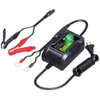 Skyrich Chargeur de batterie 12V/2Ah