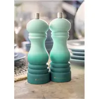 Masterclass MCSNPOMBGRN17 - Moulin à poivre ou à sel avec couvercle interchangeable (17 cm)