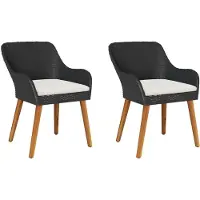vidaXL - 2 chaises de jardin, noir, en polyrotin