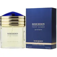 Boucheron Pour Homme 100ml Eau De Toilette Clair,Doré Homme