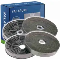 Alapure Filtres à charbon actif adaptés au Leisure KF971100007 / KF9189204771 (2 pièces)