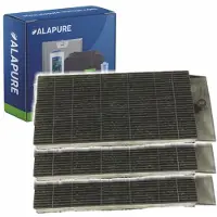 Alapure Filtre à charbon actif adapté pour Electrolux 50263848009 / type B