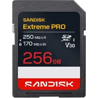 SanDisk Carte Sd Extreme Pro 256gb