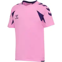Hummel T-Shirt fonctionnel bleu violet / rose