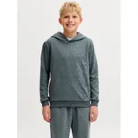 Jack & Jones Junior Sweat 'JJEBradley' gris basalte