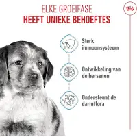Royal Canin Medium Puppy 2x1 kg karma sucha dla szczeniąt, od 2 do 12 miesiąca, ras średnich