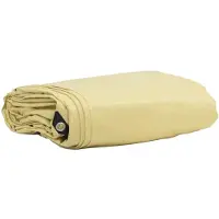 vidaXL Bâche 650g / m² Beige 4 x 5 m Canvas avec revêtement PVC