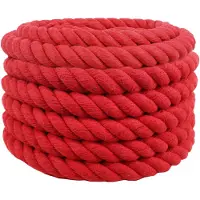 vidaXL Corde Rouge 3 x 3 x 2500 cm Coton
