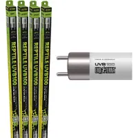 Exo Terra Lumière Pour Terrarium Uvb100 Vho 8w