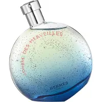 Hermès Paris L'Ombre des Merveilles EDP 30 ml UNISEX