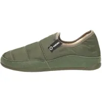 Verbenas Pantoufle 'Ernest' vert
