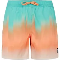 Protest Bowery Swimming Shorts Multicolore S Homme
