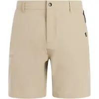 Protest Radcot Surfable Swimming Shorts Beige XS Homme