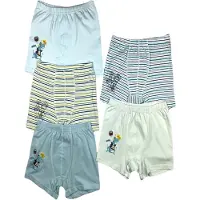 LOREZA Sous-vêtements 'Jungen Boxershorts Dinos' mélange de couleurs