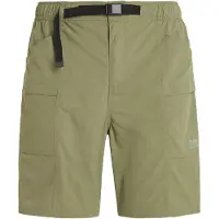 Protest Pantalon 'PRTCARBOST' vert