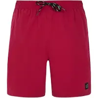 Protest Short De Bain Baky