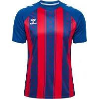 Hummel T-Shirt fonctionnel 'Match' bleu / rouge sang / blanc