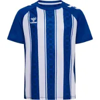 Hummel T-Shirt fonctionnel bleu / blanc