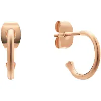 Daniel Wellington Créoles plaquées or Charms DW00400767