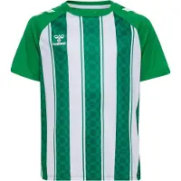 Hummel T-Shirt fonctionnel vert / blanc