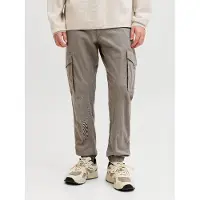 Jack & Jones Pantalon cargo 'JJIPaul JJFlake' marron
