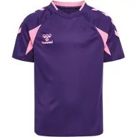 Hummel T-Shirt fonctionnel violet / prune