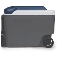 Igloo 38 l