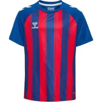 Hummel T-Shirt fonctionnel bleu / rouge