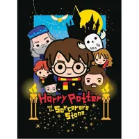 Erik Cadre Canvas Harry Potter The Sorcerer's Stone