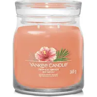 Yankee candle Tropical Breeze Signature bougie - 368g