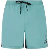 Protest Ben Swimming Shorts Vert XS Homme