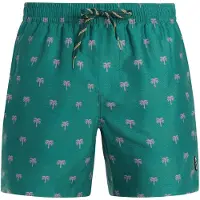 Protest Mascot Swimming Shorts Bleu M Homme