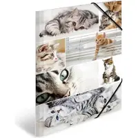 Herma Porte-documents A3 Motif (A4, 1x)
