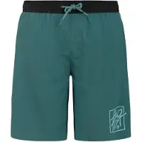 Protest Short De Bain Garrix