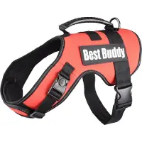 Flamingo Service Best Buddy Uranus, couleur rouge, taille XL
