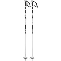 Salomon Steep Poles Noir 110 cm