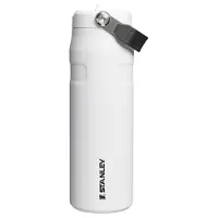 Stanley Bouteille isotherme Flip 0,7 L Fuchsia
